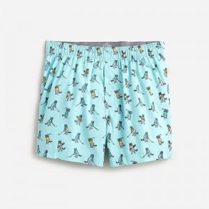 Men's J.Crew Printed Boxers Gold Racoon Aqua Multi USA ZLJXIHG18